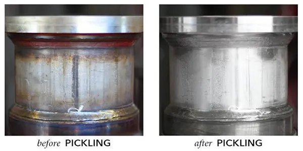 Bionil P1, P2, P3 pickling ürünleri: hangisini ne zaman kullanmalı?